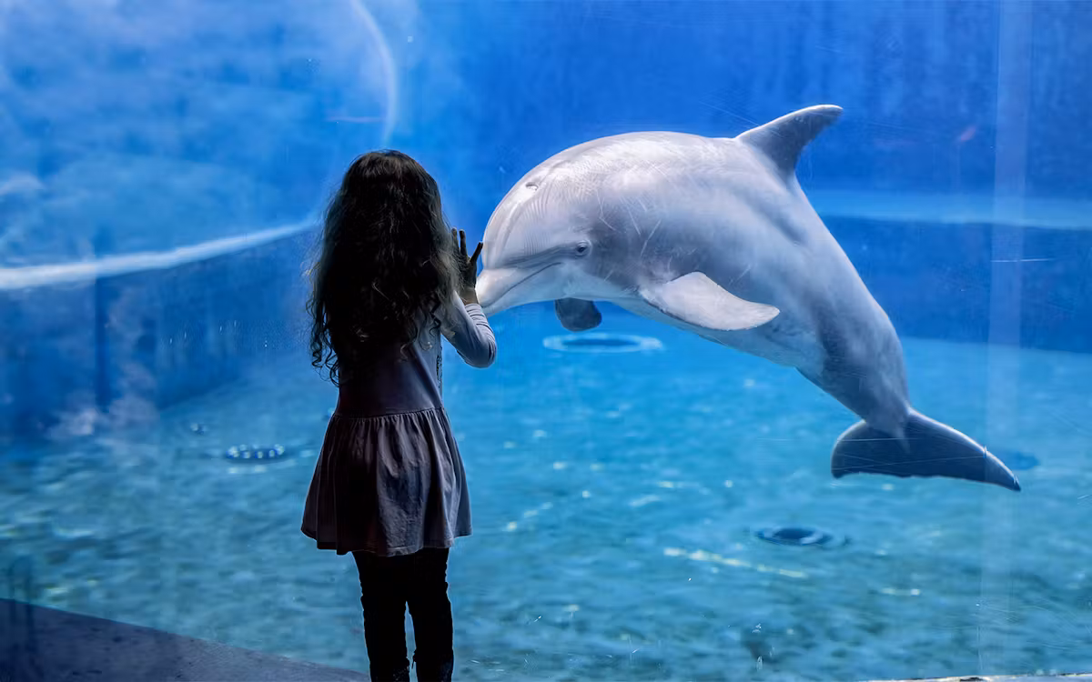 Aquarium von Genua – Genua – Italien